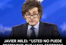 Javier Milei: «Usted no puede pretender que haya sectores que no desaparezcan»