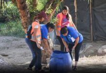 Advierten sobre el brote de chikungunya en el norte del país y refuerzan recomendaciones para evitar su propagación