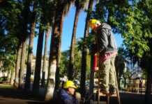 Más luminarias led para la Plaza 9 de Julio