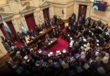 El Senado aprobó en general la reforma de la Ley de salud mental, que habilita internaciones involuntarias